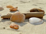 Romanya’da Rüya Gibi Bir Tatil