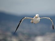 Romanya’nın Gizli Cennetleri