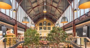 Pazar Büyüklüğü ve Potansiyel Pazar Büyüklüğü ve Potansiyel