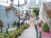 Romanya’da Gezilecek Yerler Romanya'da Gezilecek Yerler