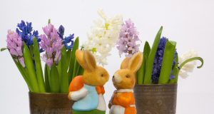 Romanya Çifte Vatandaşlık Başvurusu ve Romence Dil Bilgisi