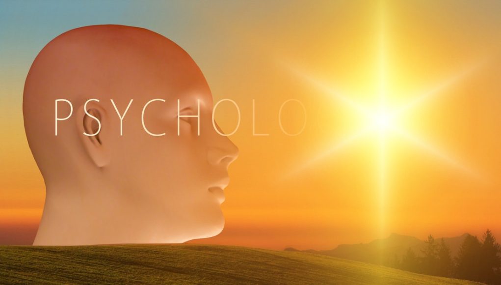 Romanya Şehirleri ve Vatandaşlık Süreçlerine İlişkin Bilgiler Romanya Şehirleri ve Vatandaşlık Süreçlerine İlişkin Bilgiler