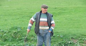 Romanya Çifte Vatandaşlık: Kültürel Bir Bakış