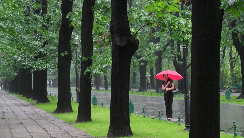 Romanya'da Çalışma İmkanları ve Çifte Vatandaşlığın Rolü