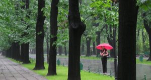 Romanya'da Çalışma İmkanları ve Çifte Vatandaşlığın Rolü