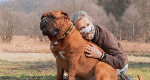 Romanya Çifte Vatandaşlık Sahibi Olanlar İçin Araba Alım Rehberi