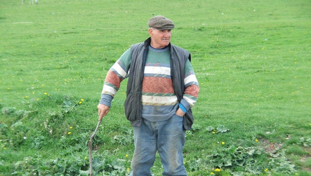 Romanya Vatandaşlığı Alanlar İçin Otomobil Sahibi Olma Rehberi: Fiyatlar, Vergiler ve İpuçları