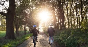 Romanya Çifte Vatandaşlığı Yolunda Rumen Leyi Rehberi