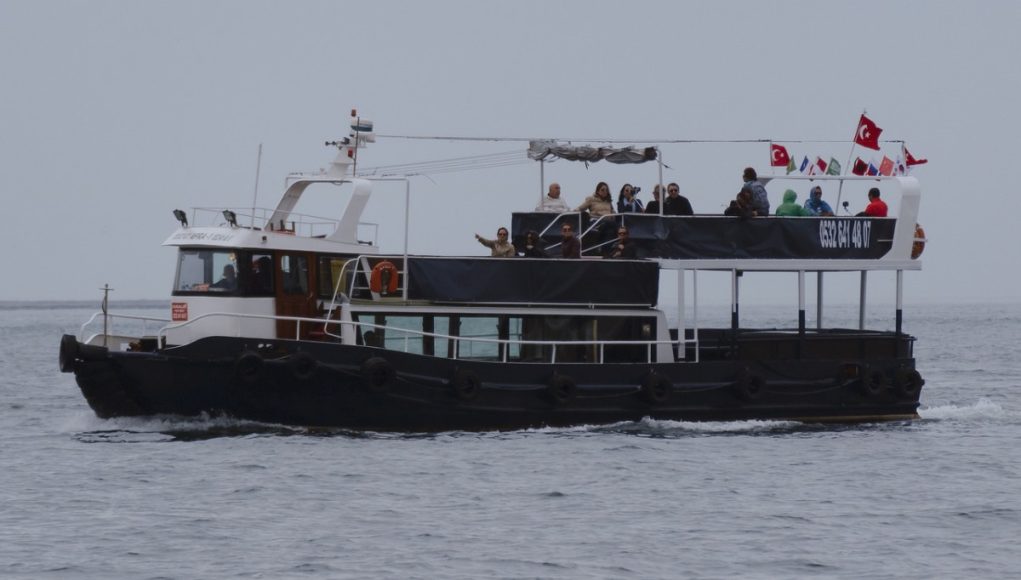 Romen Köklerinizle Avrupa Kapılarını Aralayın: Çifte Vatandaşlık Rehberi Romen Köklerinizle Avrupa Kapılarını Aralayın: Çifte Vatandaşlık Rehberi