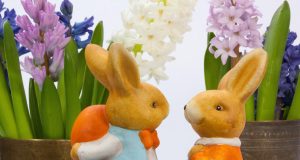 Romanya Çifte Vatandaşlık Başvurusu Yapanlar İçin Gastronomi Rehberi: Damak Tadınızı Romanya'ya Hazırlayın