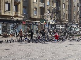 Romanya Çifte Vatandaşlığı: Hak Kazanma Rehberi