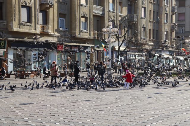 Romanya Çifte Vatandaşlığı: Hak Kazanma Rehberi