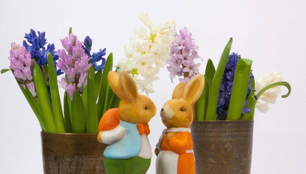 Romanya Çifte Vatandaşlık ve Vatandaşlık İşlemleri