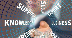 Romanya Çifte Vatandaşlık Kavramı ve Kısıtlamaları