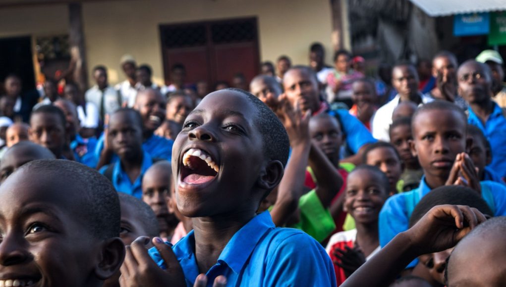 Romanya Leu (RON): Tarihçe ve Temel Özellikler