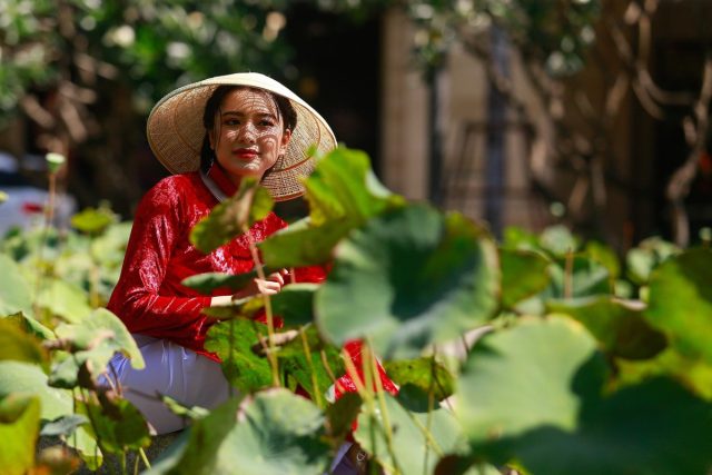 Romanya'da Çevre ve Kültürel İşlemleri