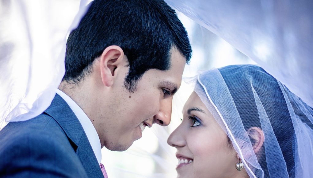 Romanya Çiftçi Anlama