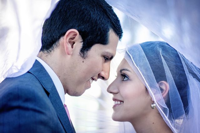 Romanya Çiftçi Anlama