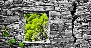 Romanya'nın Kültürel Yapısı ve Önemi