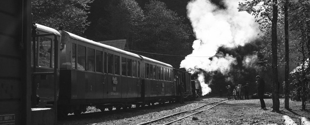 Romanya Çifte Vatandaşlığı: Başvuru Şartları, Belgeler ve AB Avantajları