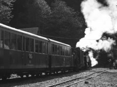 Romanya Çifte Vatandaşlığı: Başvuru Şartları, Belgeler ve AB Avantajları