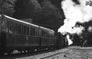 Romanya Çifte Vatandaşlığı: Başvuru Şartları, Belgeler ve AB Avantajları