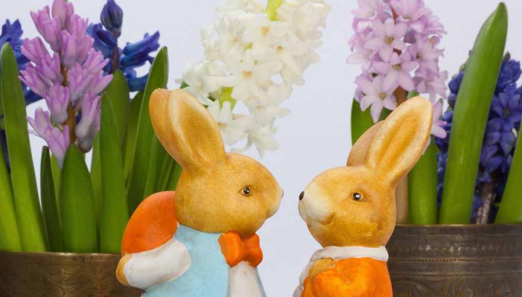 Romanya Çifte Vatandaşlık ve Vatandaşlık İşlemleri Hakkında Bilmeniz Gerekenler