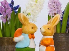 Romanya Çifte Vatandaşlık ve Vatandaşlık İşlemleri Hakkında Bilmeniz Gerekenler