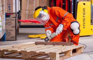 Romanya Vatandaşlık Süreci ve Gerekli Belgeler