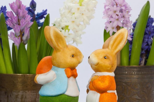 Romanya Vatandaşlık ve İlgili Hız Romanya Vatandaşlık ve İlgili Hız