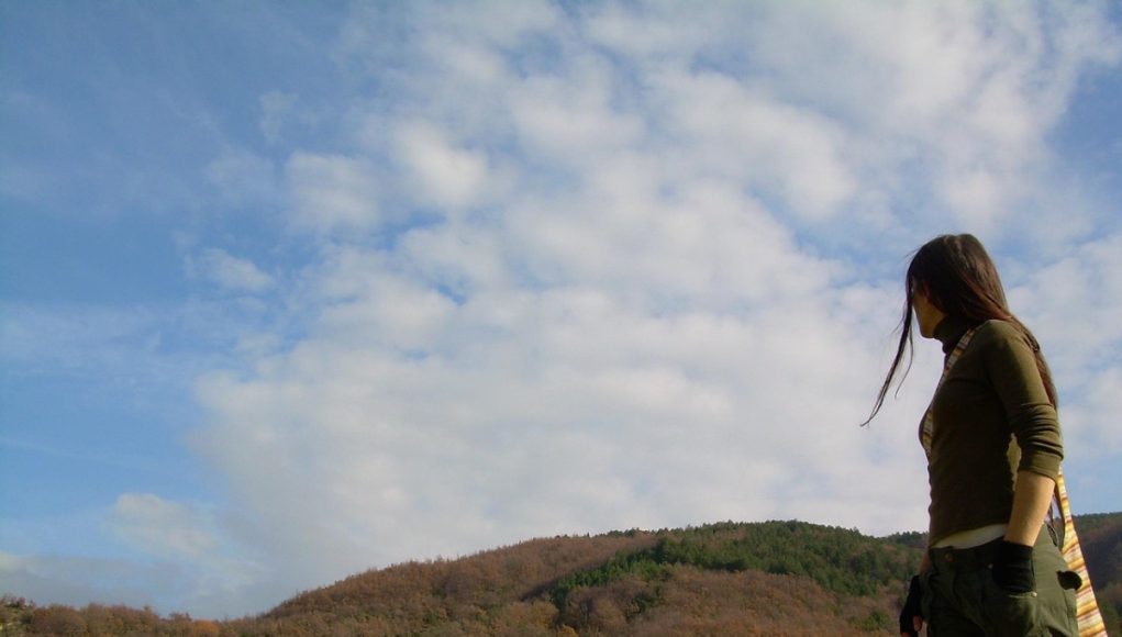 Romanya Vatandaşlığının Temel Hukuki ve Ekonomik Temelleri