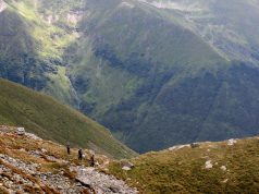 **Romanya Tatil Rehberi – Romanya Çift Vatandaşlığı ve Vatandaşlık İşlemleri**