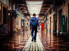 Romanya’da Çifreleme ve Vatandaşlık İşlemlerinin Genel Çerçevesi