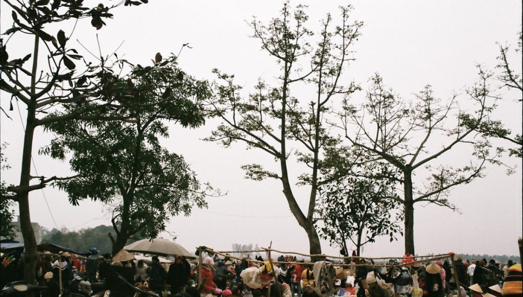 **Romanya Kültürel Yapısı ve Çifte Vatandaşlık Odaklı Rehber**