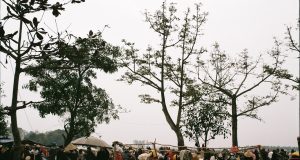 **Romanya Kültürel Yapısı ve Çifte Vatandaşlık Odaklı Rehber**