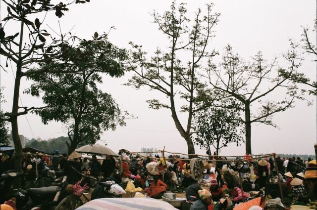 **Romanya Kültürel Yapısı ve Çifte Vatandaşlık Odaklı Rehber**